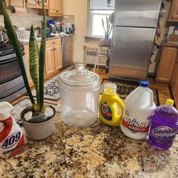 5 Gal Storage Glass Jar  The Snake Plant & Cleaners...all Brand New .all For Only $15