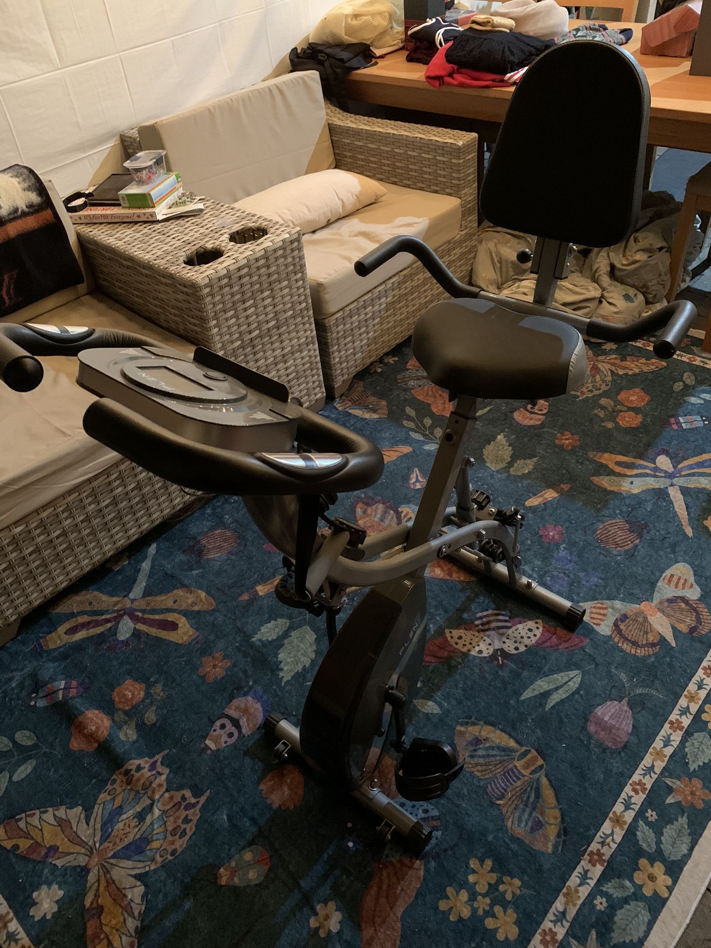 Pleny Folding Exercise Bike