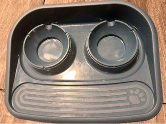 Cat/dog food plate