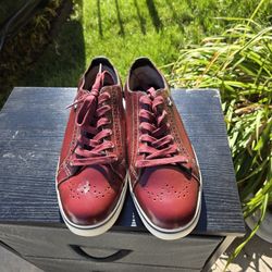 Brand New Ugg Sneakers – Size 12M