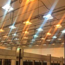 Luxx, Dimlux, Gavita, Ares, E-Papillon 1000w Grow Lights