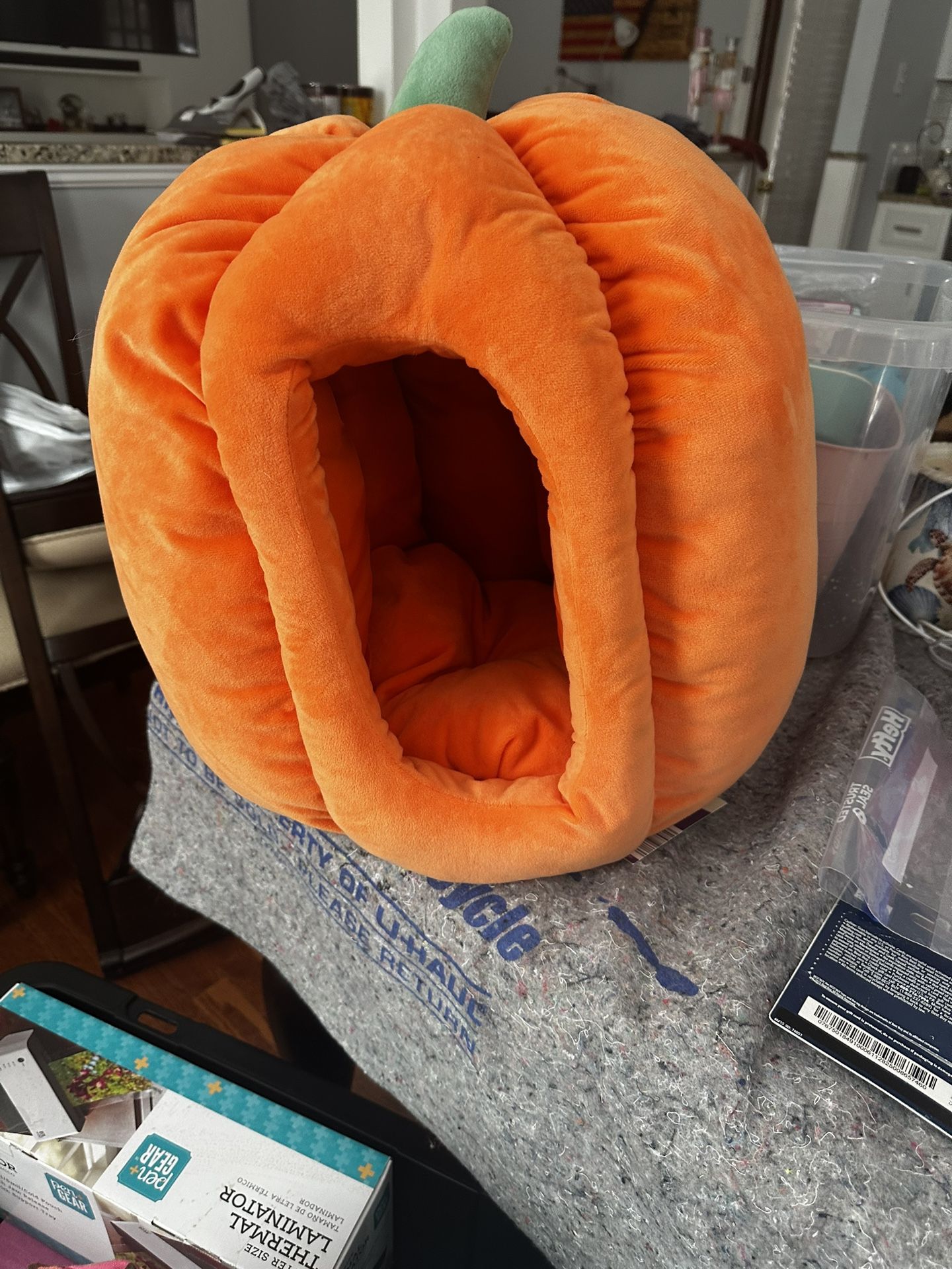 Cat Bed Pumpkin