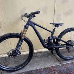 Specialized Enduro S-WORKS