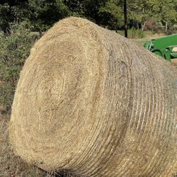 Round Hay Bales -Pacas de Zacate 