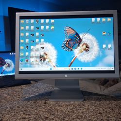 20" Apple Cinema Display Monitor Works Perfectly 
