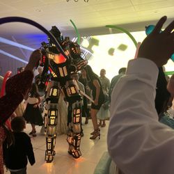LED Robot