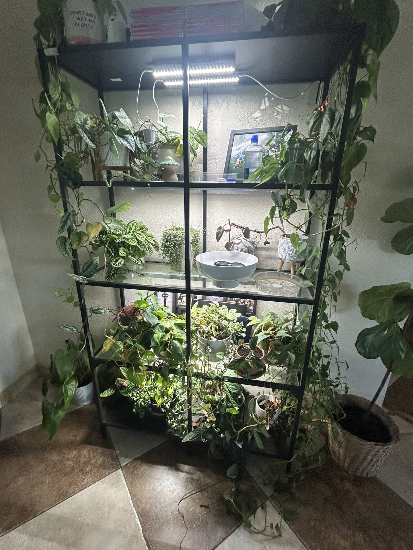 Shelf Unit With Grow Lights