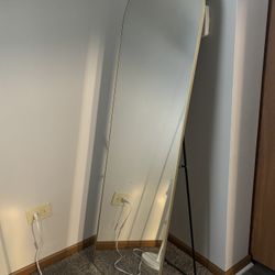 Arched Gold Frame Standing Mirror / Floor Mirror