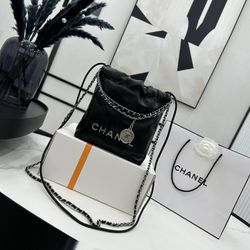 Seasonal Chanel 22 Bag