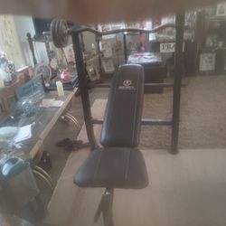 Great Soild Weight Bench 