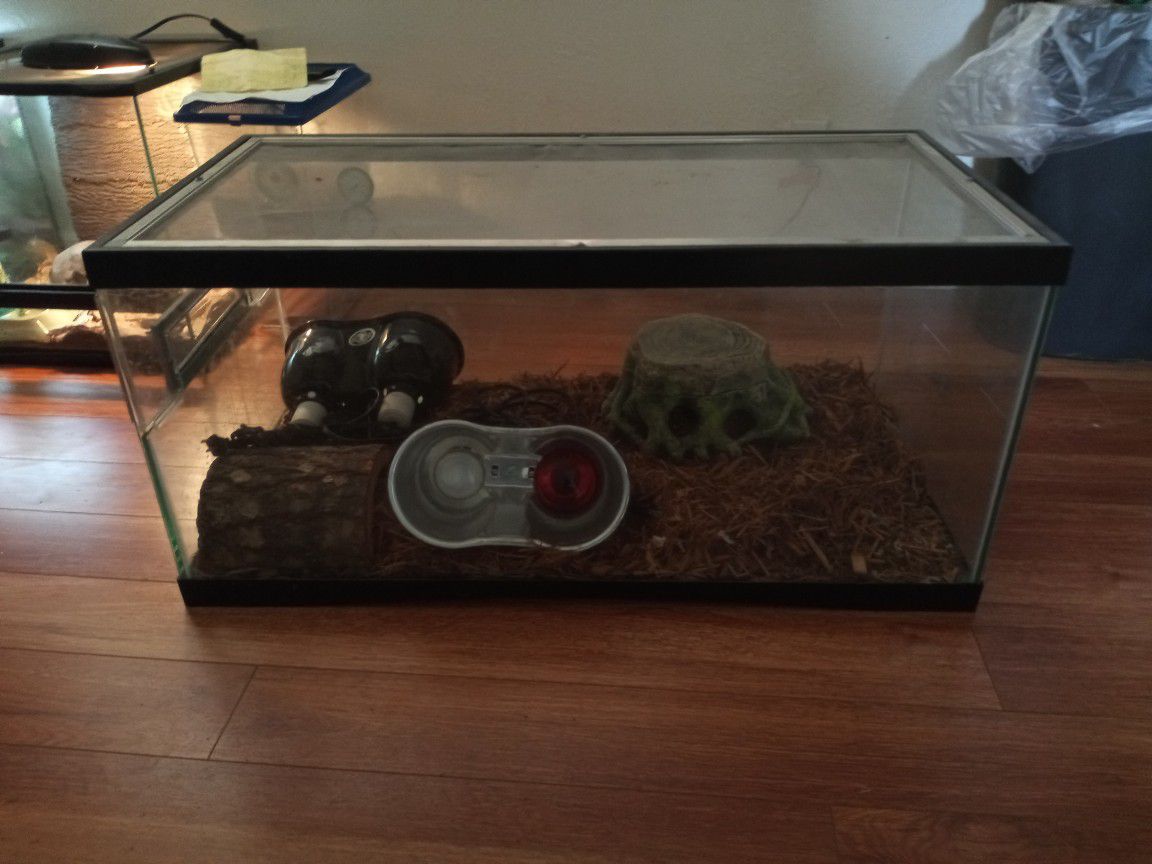 50 Gal Reptile Tank Lights And Ect Included 
