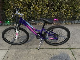 Schwinn ranger top 24 inch