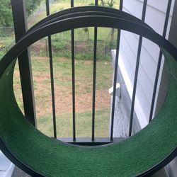 Cat Wheel