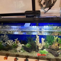 30 Gallon Fish Tank And Stand