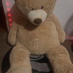 $75 dollar huge human size Teddy bear