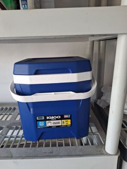 Small ice chest