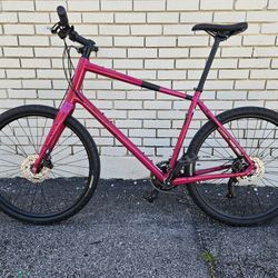 XL Salsa Journeyer Bike
