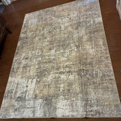 5x7 Area Rug
