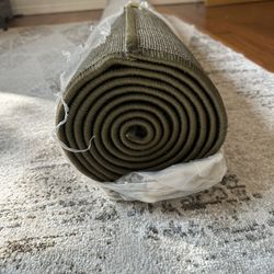 8/10 Solid Sage Green Rug