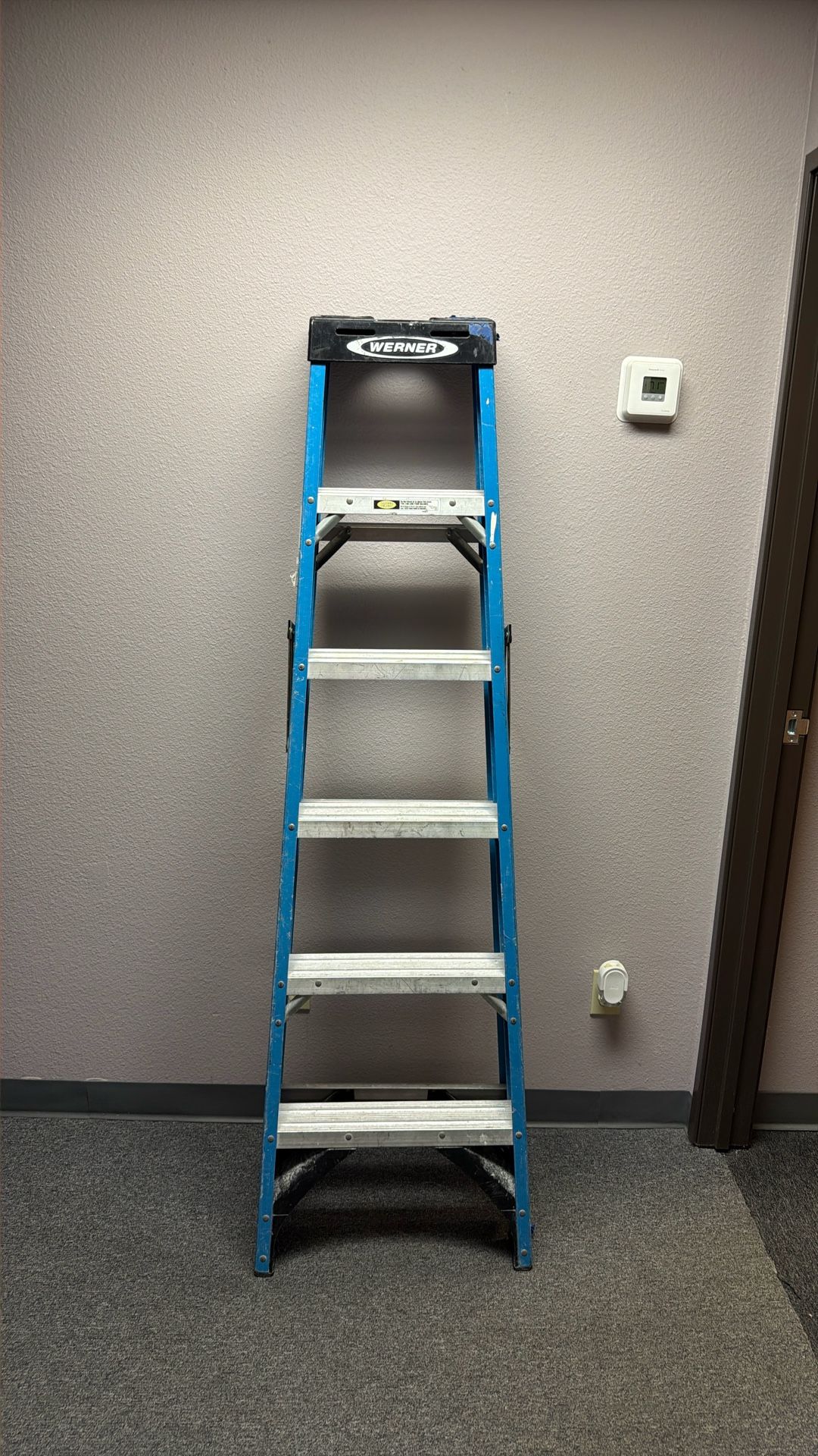 WERNER Ladder