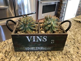 Succulents