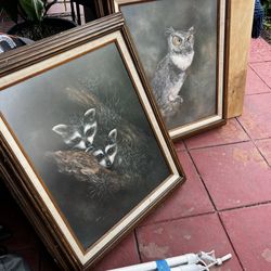 Framed animal Prints 