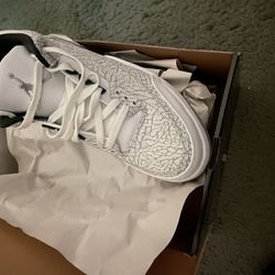Air Jordan 3 