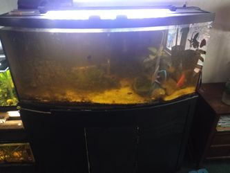 72 gallon bow front tank with stand