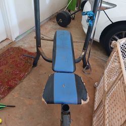 Weight Bench
