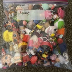 LOL Surprise Dolls Pets And Accessories 