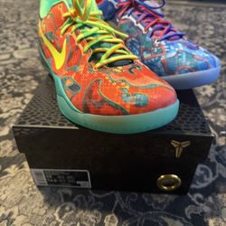 Nike Kobe 8 “WTK”