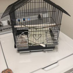 Bird Cage 