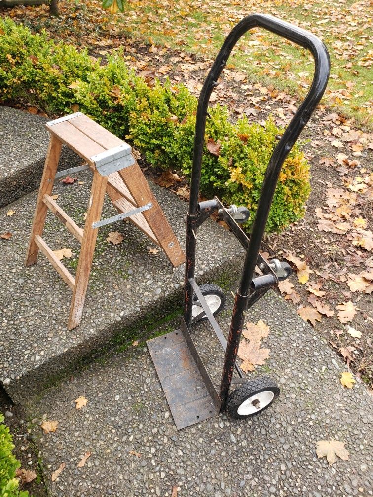 Wood Step Ladder and Moving Cart Hand Truck