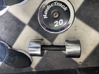 20 pound dumbbells x2