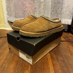 Uggs Tasman Men shoes Chestnut