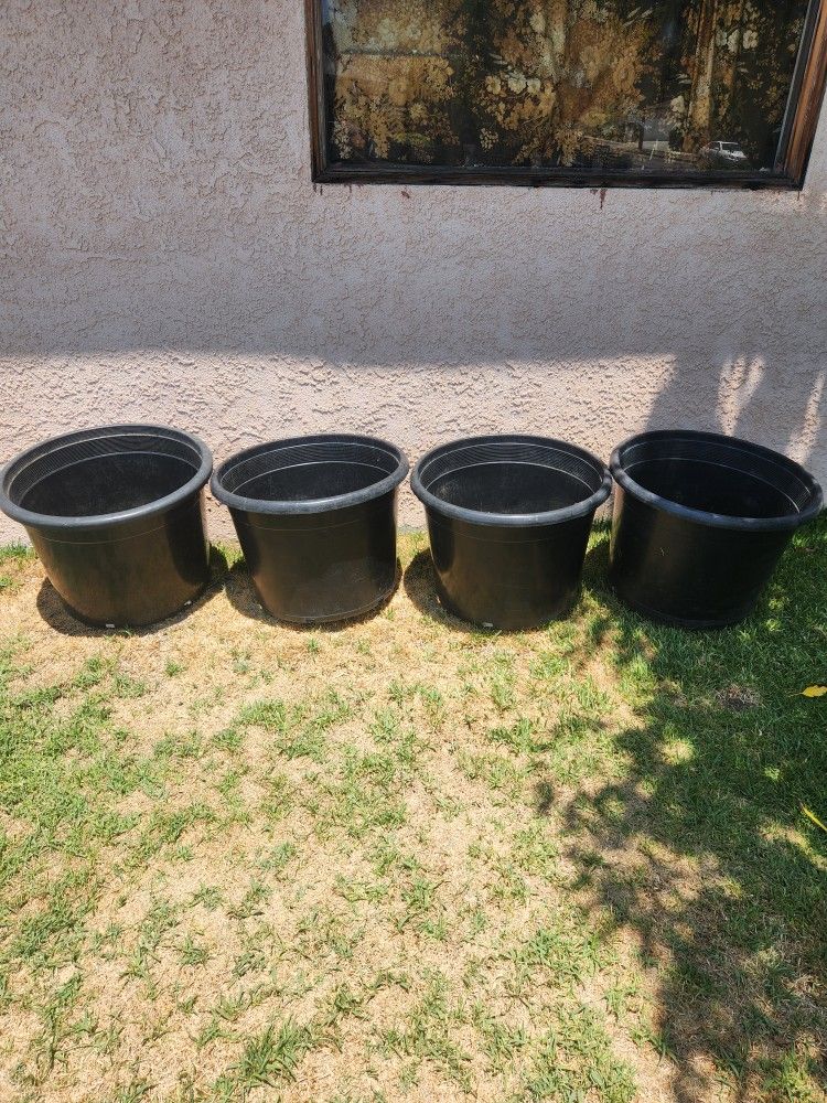Black Planting Pot (Location In Description)