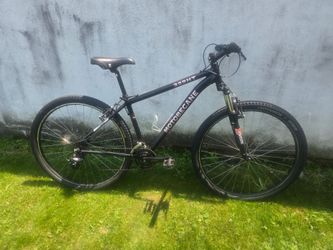Motobecane 29er mtn bike