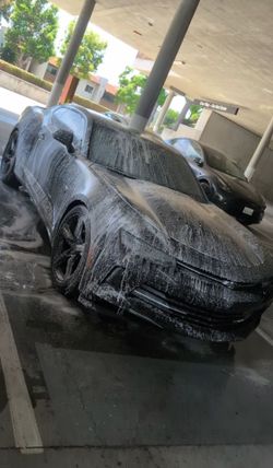 Showroom Restoration & Paint Correction Finish