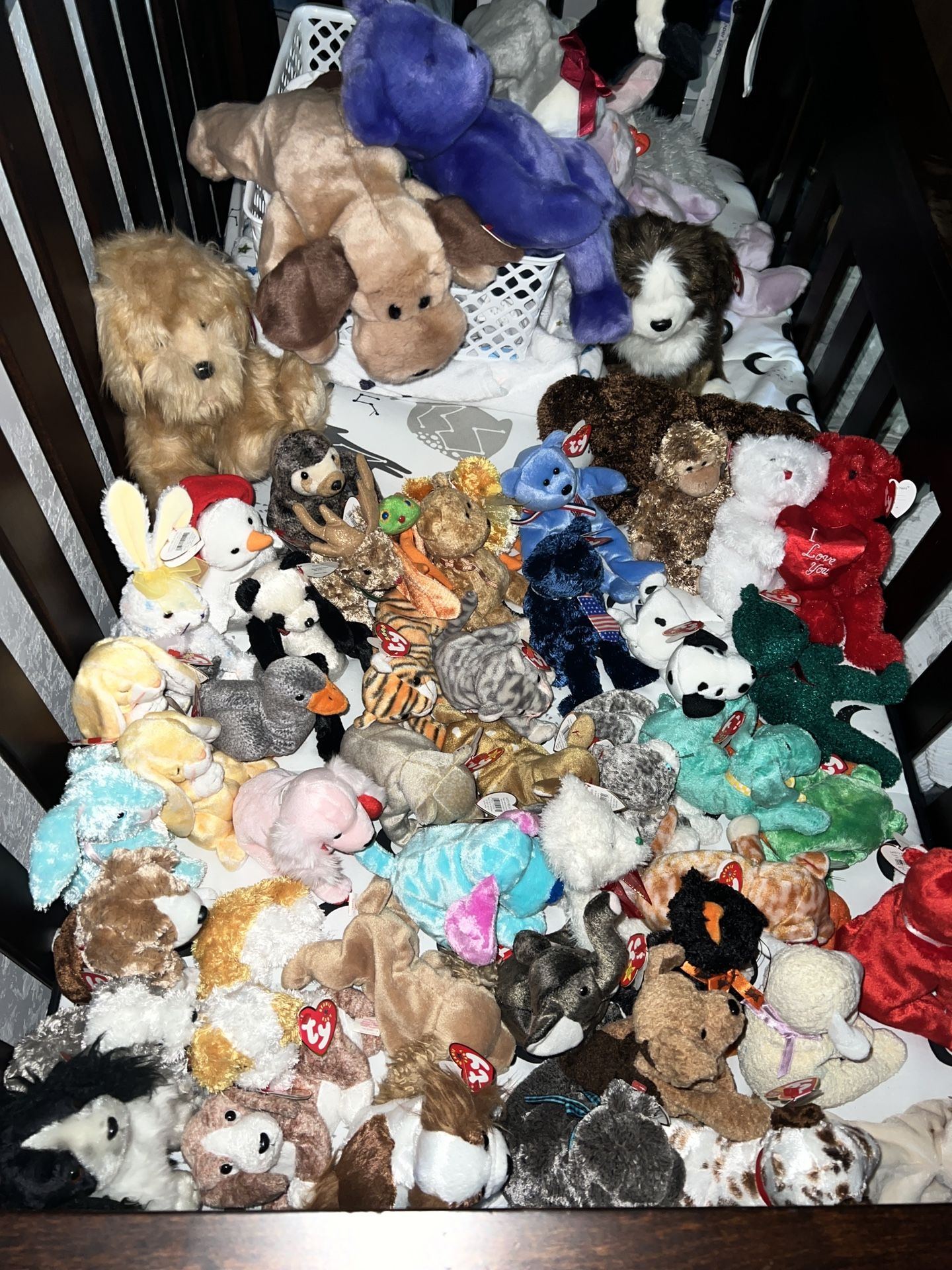 TY Beanie Baby Collection - Including Rare & All With Tags