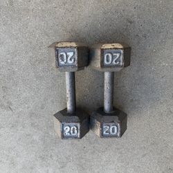 Weights 20 Pound Dumbbells