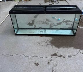 55 gal Tank/ Aquarium