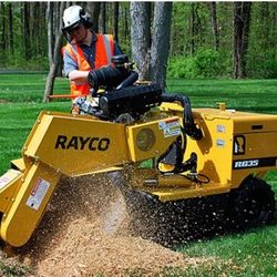 Stump Grinding