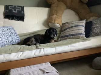Futon couch mattress and frame