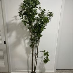 Artificial Plant, Fake Tree