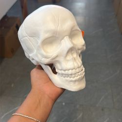 Skulls