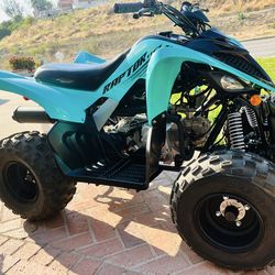 2025 Yamaha Raptor 110 EFI – 3 Hours – Like New – Save $1,000+