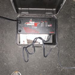 Pulse Charger