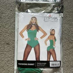 Playboy Bunny Halloween Costume 