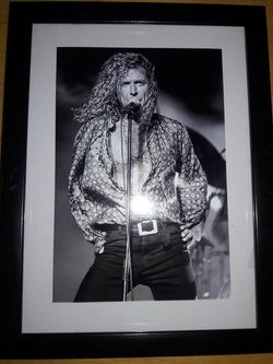 ROBERT PLANT PICTURE