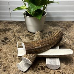 Elk Antler Dog Chews
